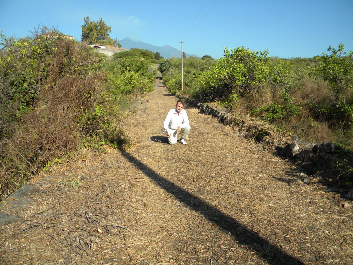 DSCN8136 .JPG